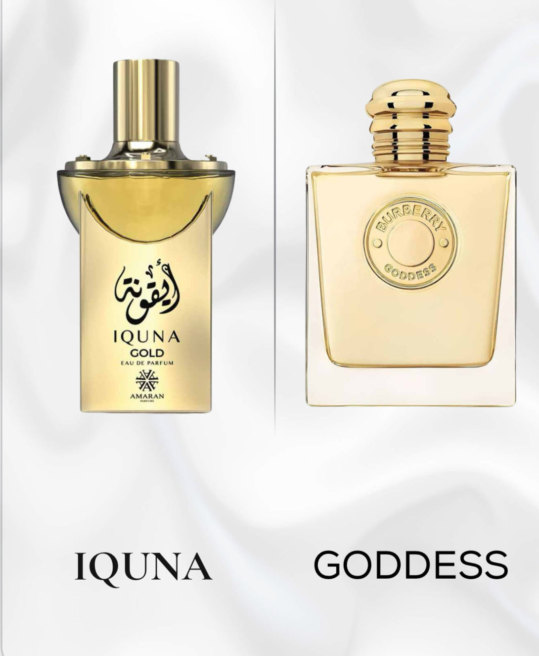 IQUNA GOLD Eau de Parfum for women 100 Ml 3.4Fl Oz By Amaran