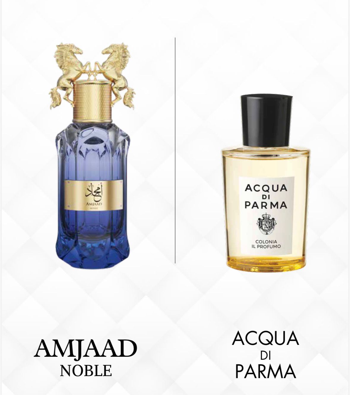 AMJAAD NOBLE EDP 100ML By LE FALCONE
